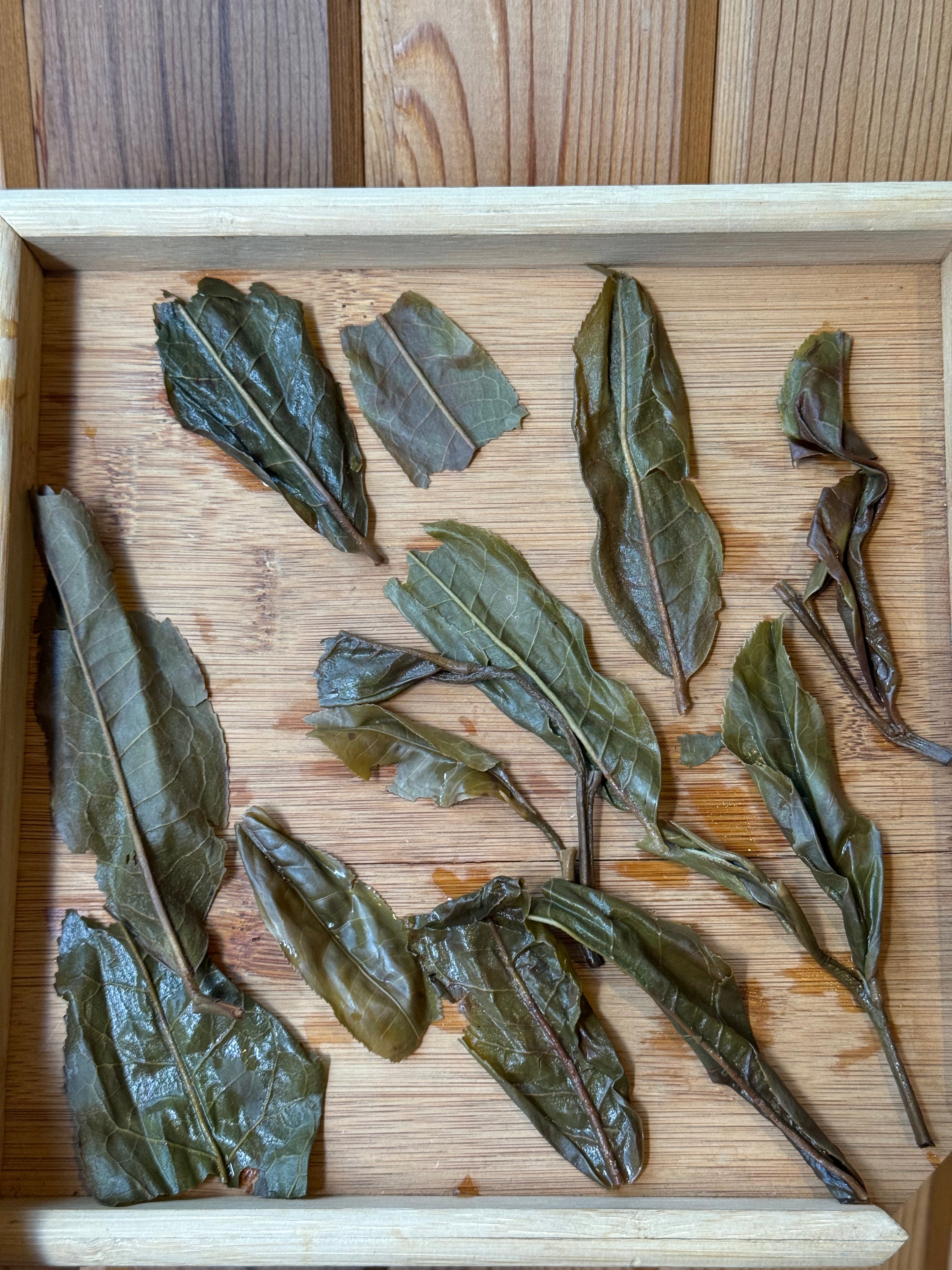 BING DAO RAW PU'ERH YEAR 2016